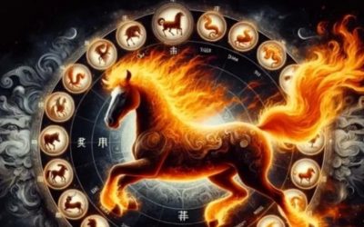 1767224968_index.jpeg - Presa360