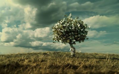 bani-teren-de-vanzare.jpg - Presa360