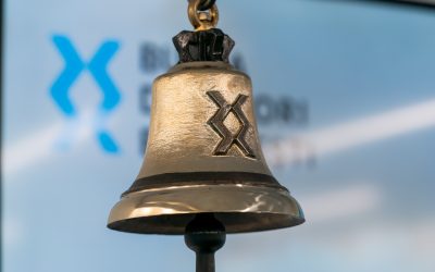 bvb-noua-identitate-7-copy.jpg - Presa360