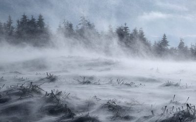 cod-galben-viscol-munte-iarna-ninsoare-e1643266955426.jpg - Presa360