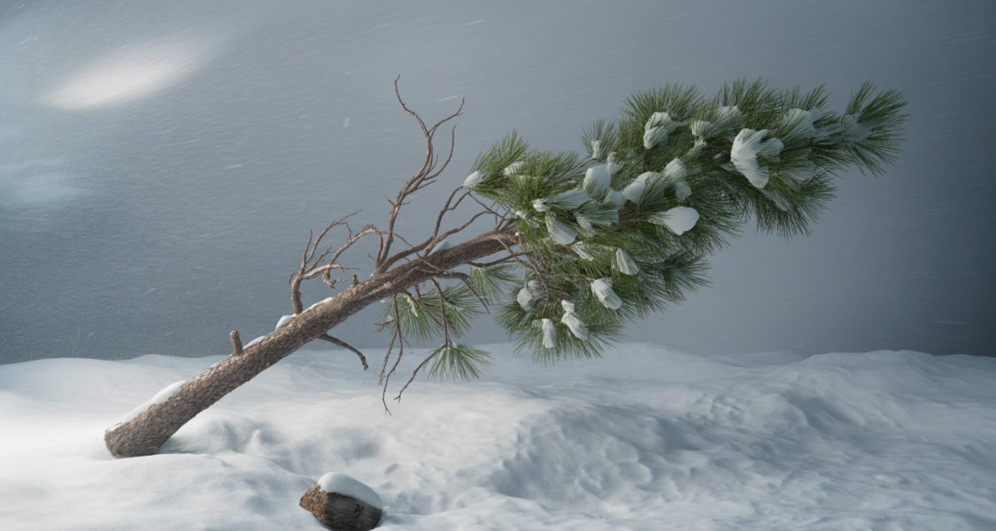 idojaras-ciklon-szel-vihar-hungaromet-magyarorszag-norvegia-meteorologia-ho-szelvihar-797120.jpg - Presa360