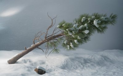 idojaras-ciklon-szel-vihar-hungaromet-magyarorszag-norvegia-meteorologia-ho-szelvihar-797120.jpg - Presa360