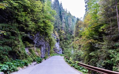 rapa-1024x683.jpg - Presa360