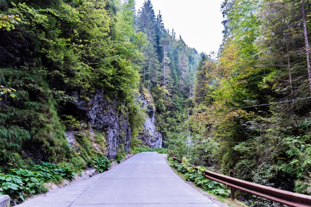 Tragedie pe Valea Arpașu Mare: Doi morți după ce un camion s-a răsturnat într-o râpă de 170 de metri O tragedie rutieră extrem de gravă a zguduit noaptea trecută zona montană a Văii Arpașu Mare, din județul Sibiu