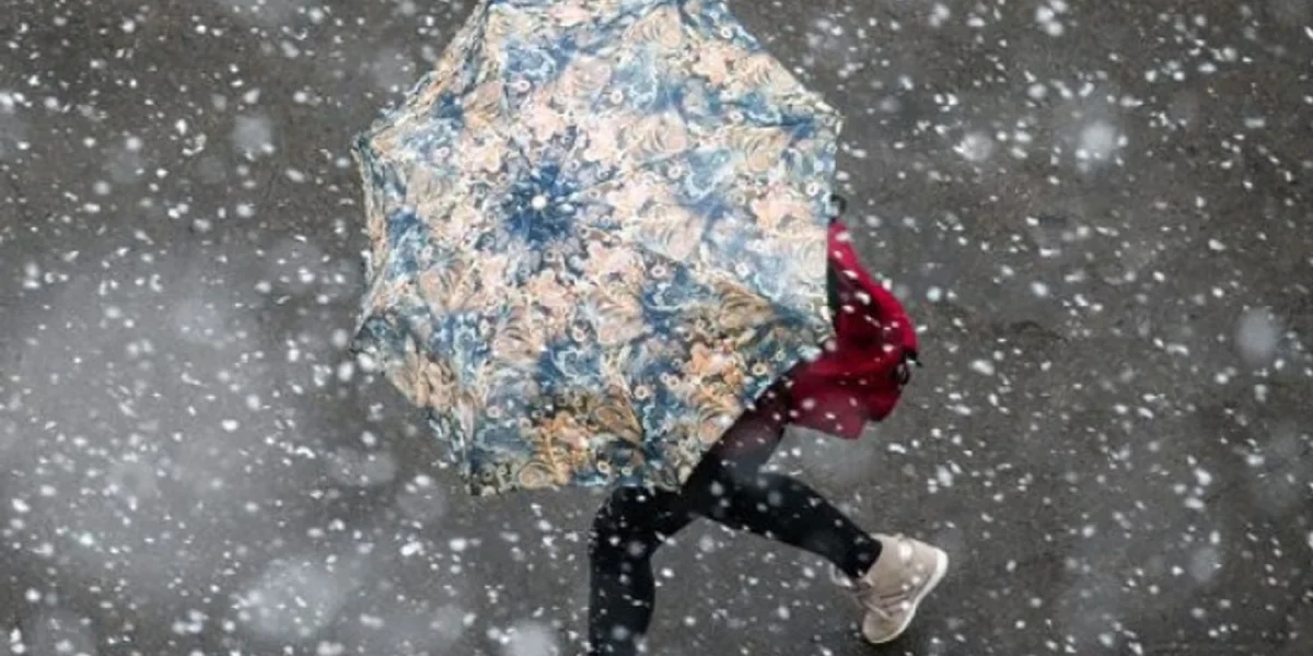 1767374602-2635-large.webp.webp - Presa360