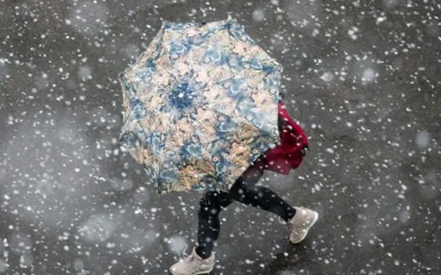 1767374602-2635-large.webp.webp - Presa360