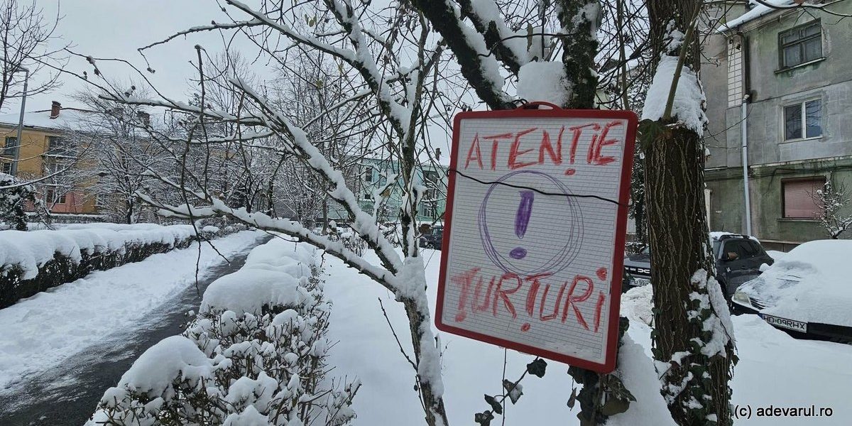 1768483841_index.jpeg - Presa360