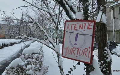 1768483841_index.jpeg - Presa360