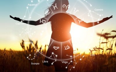 1768978005_index.jpeg - Presa360