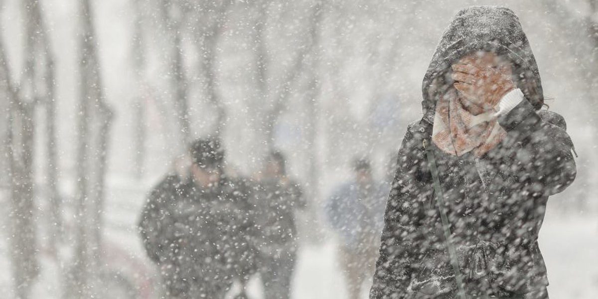 1769490928_index.jpeg - Presa360