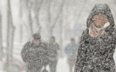 1769490928_index.jpeg - Presa360