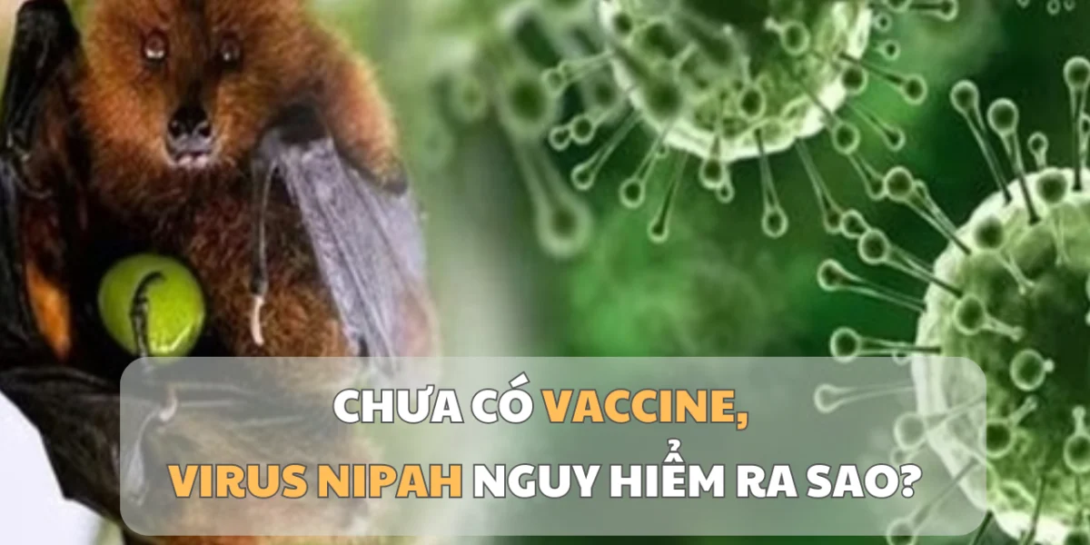 1769500972493_virus-1769477844.webp.webp - Presa360