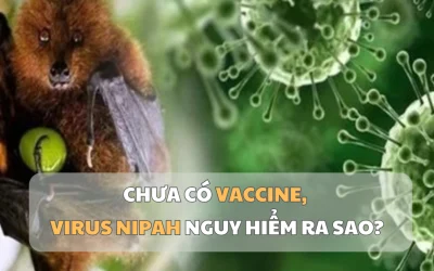 1769500972493_virus-1769477844.webp.webp - Presa360