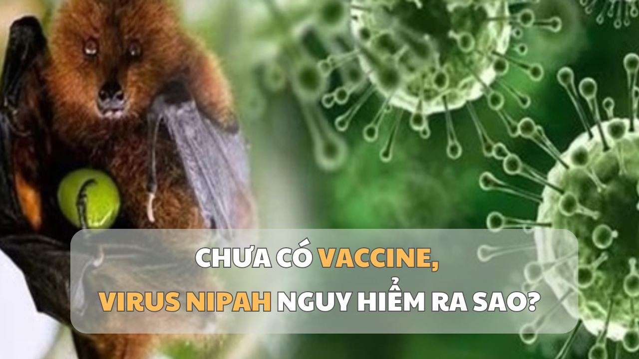 Virusul Nipah: fără vaccin, cât de grav este pericolul pentru sănătate?