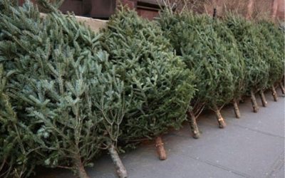 608446126_122117816589044644_1494675727540220650_n.jpg - Presa360