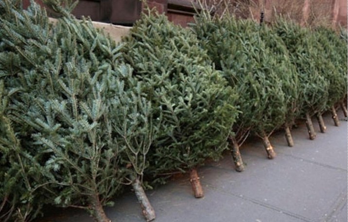 608446126_122117816589044644_1494675727540220650_n.jpg - Presa360