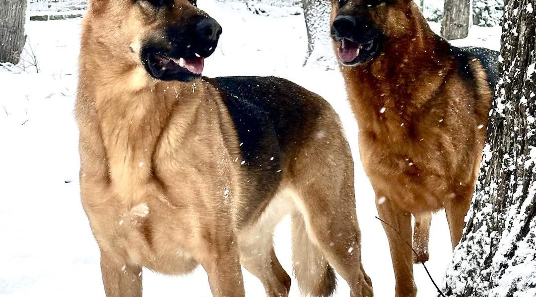 614862386_1473170691474745_5015169552524529986_n.jpg - Presa360