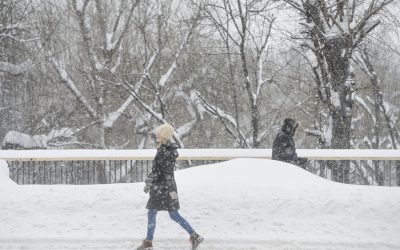 7411936-mediafax_foto-andreea_alexandru-scaled.jpg - Presa360