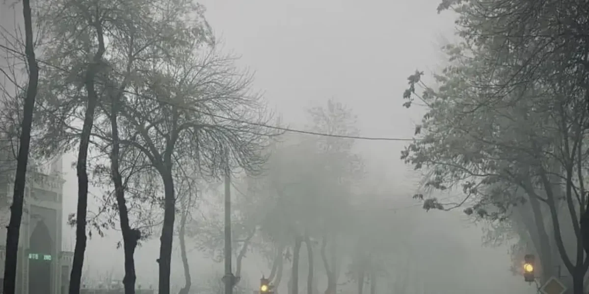 7c5c0623d2_untitled-design-2026-01-04t153148_968.webp.webp - Presa360