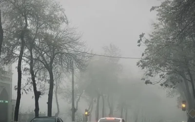 7c5c0623d2_untitled-design-2026-01-04t153148_968.webp.webp - Presa360