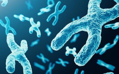 9f2a2e04a053cda7a8c096e532e43d28.jpeg - Presa360