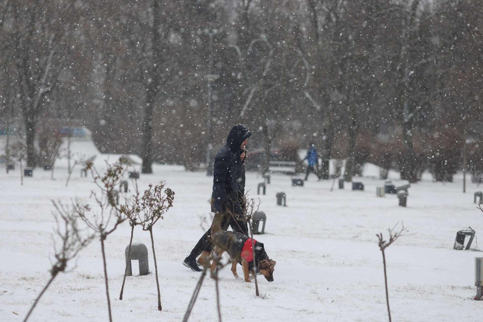 Meteorologii avertizează: Ninsori abundente și condiții de polei în toată țara Administrația Națională de Meteorologie (ANM) a emis duminică un cod galben de ninsori, lapoviță și ploi, care va afecta majoritatea regiunilor din România până marți dimineață