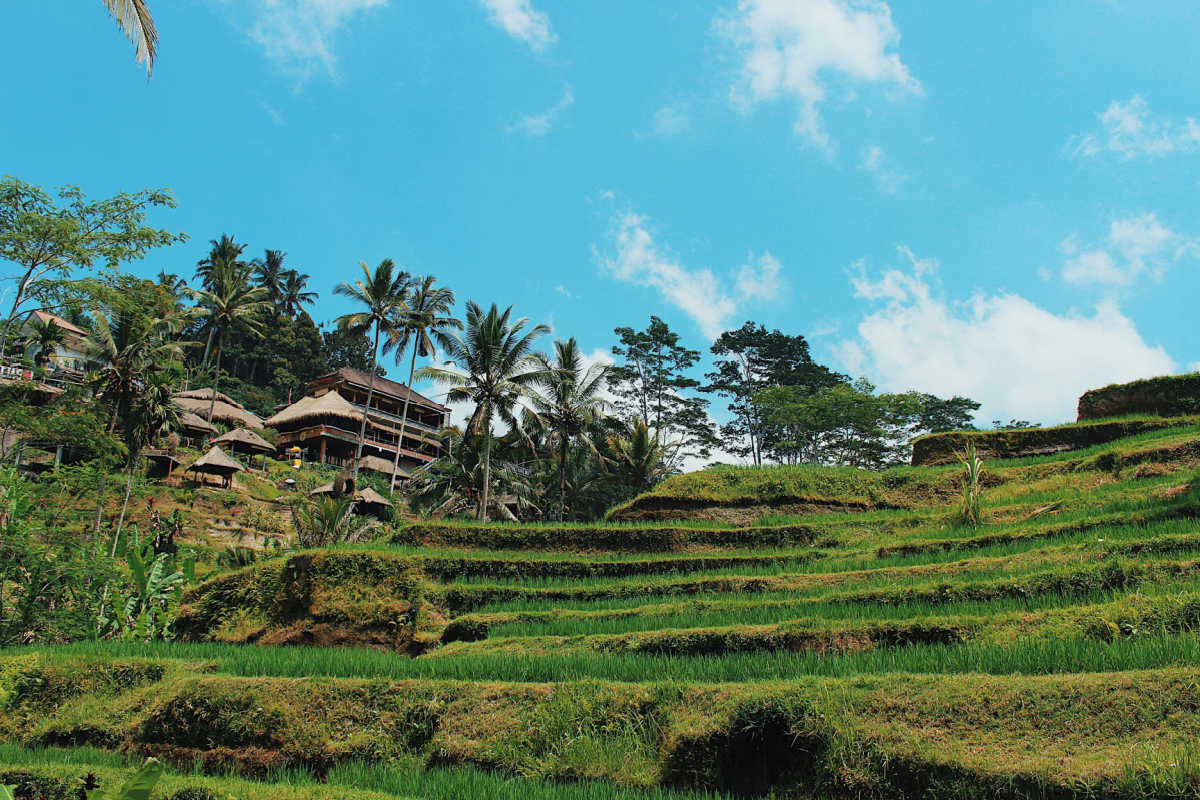Bali: Trendul Daymaxxing în turism - Care sunt beneficiile reale?