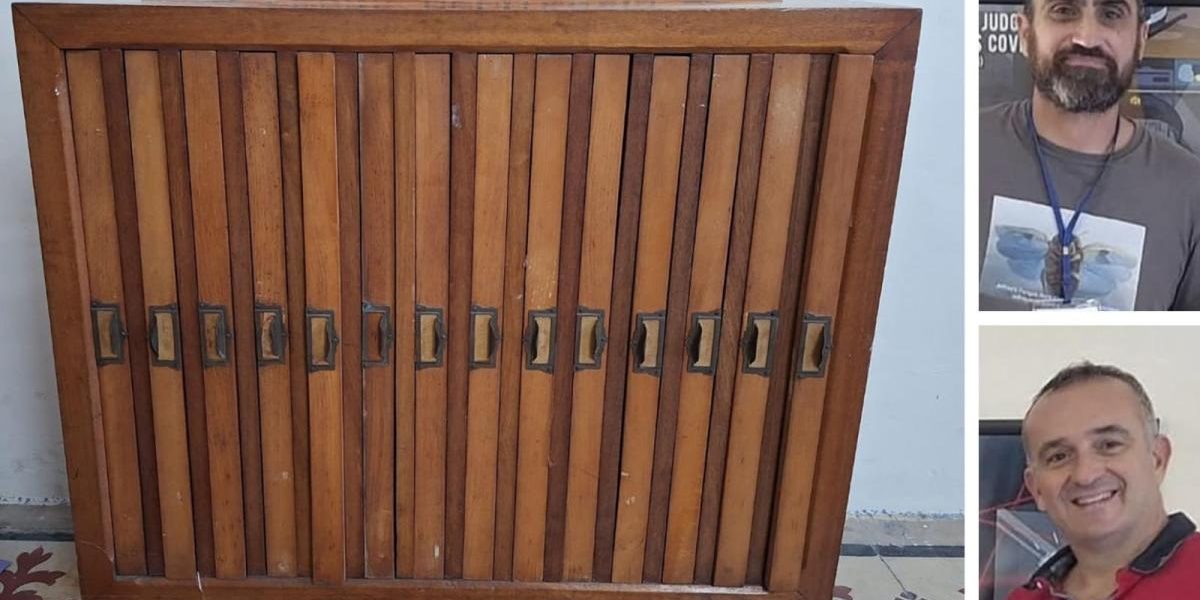 Forgotten inside a Żabbar school library, a window into Malta's botanical past