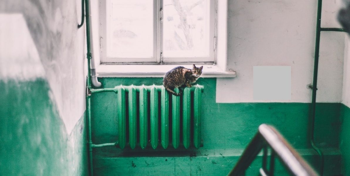 Calorifer-pexels-maria-orlova-4946714.jpg - Presa360