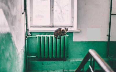 Calorifer-pexels-maria-orlova-4946714.jpg - Presa360