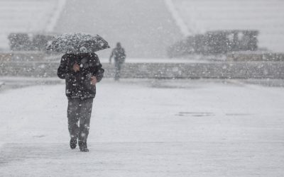 FB1A0210.jpg - Presa360