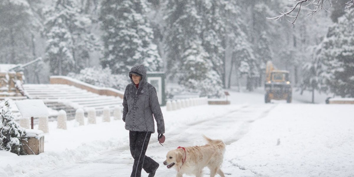 FB1A9678.jpg - Presa360