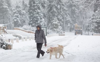 FB1A9678.jpg - Presa360