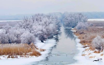 FB_IMG_1611662868008-01-min.jpeg - Presa360