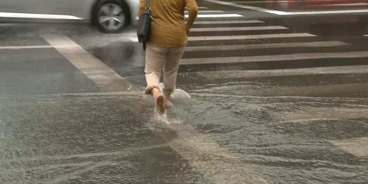 Gerul se retrage, vin ploile. ANM anunță vreme de primăvară la câmpie, dar viscol la munte