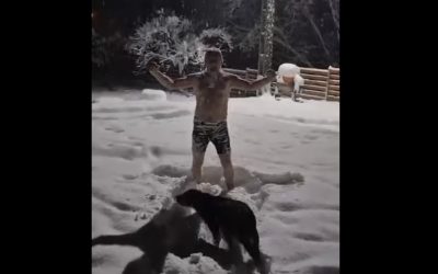 Heius-in-Zapada-3.jpg - Presa360