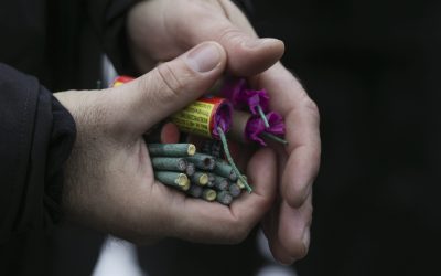 ID129394_INQUAM_Photos_Octav_Ganea.jpg - Presa360