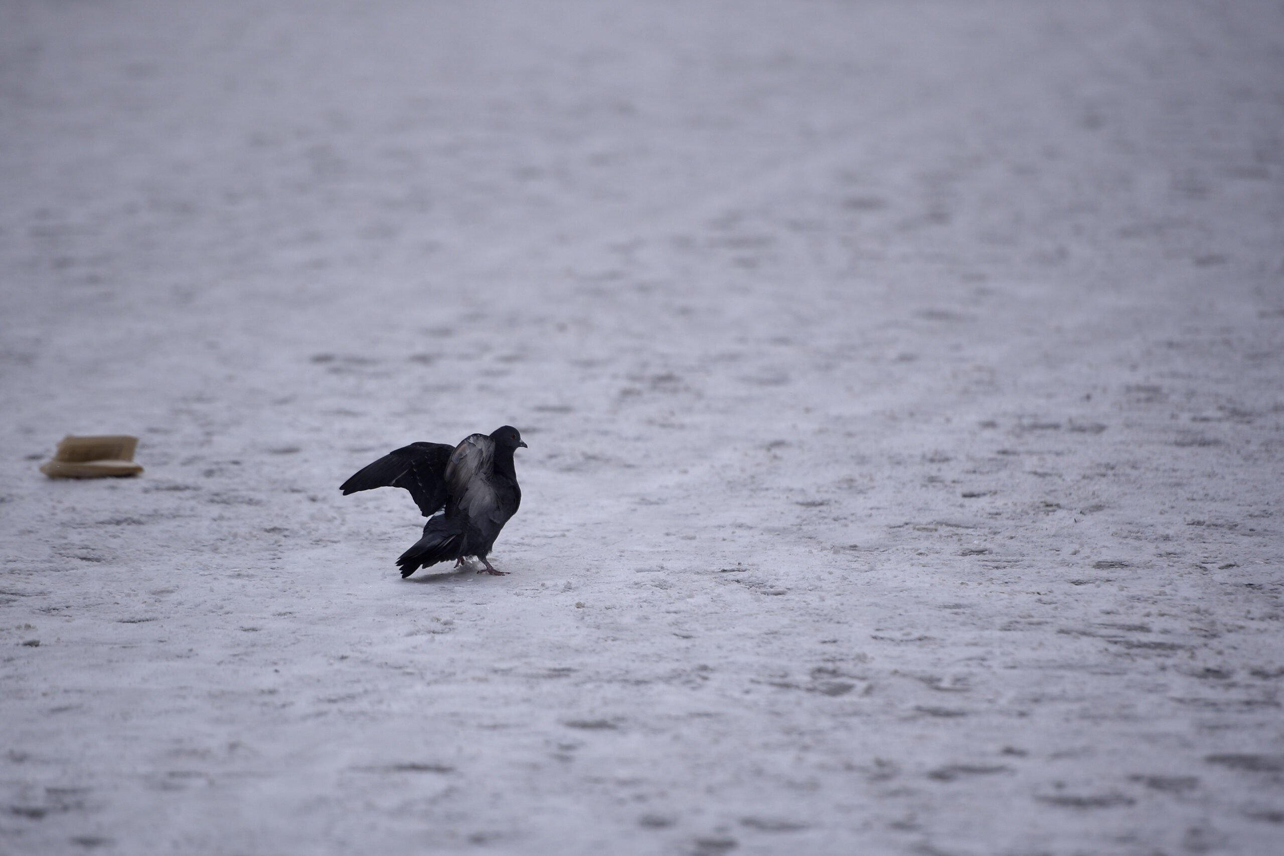 Persoanele fizice și asociațiile de proprietari, amenințate cu amenzi de până la 2.000 lei pentru neglijență în timpul codului portocaliu de ger