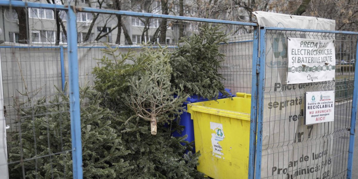 ID211408_INQUAM_Photos_Octav_Ganea-scaled.jpg - Presa360