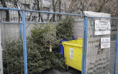 ID211408_INQUAM_Photos_Octav_Ganea-scaled.jpg - Presa360