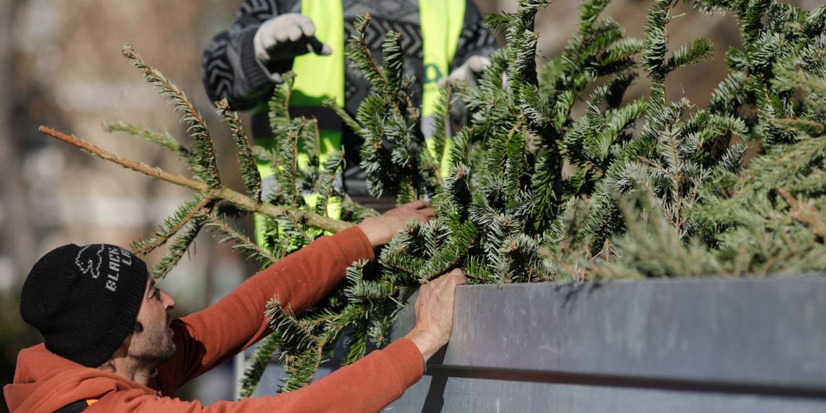 ID243158_INQUAM_Photos_George_Calin-scaled.jpg - Presa360