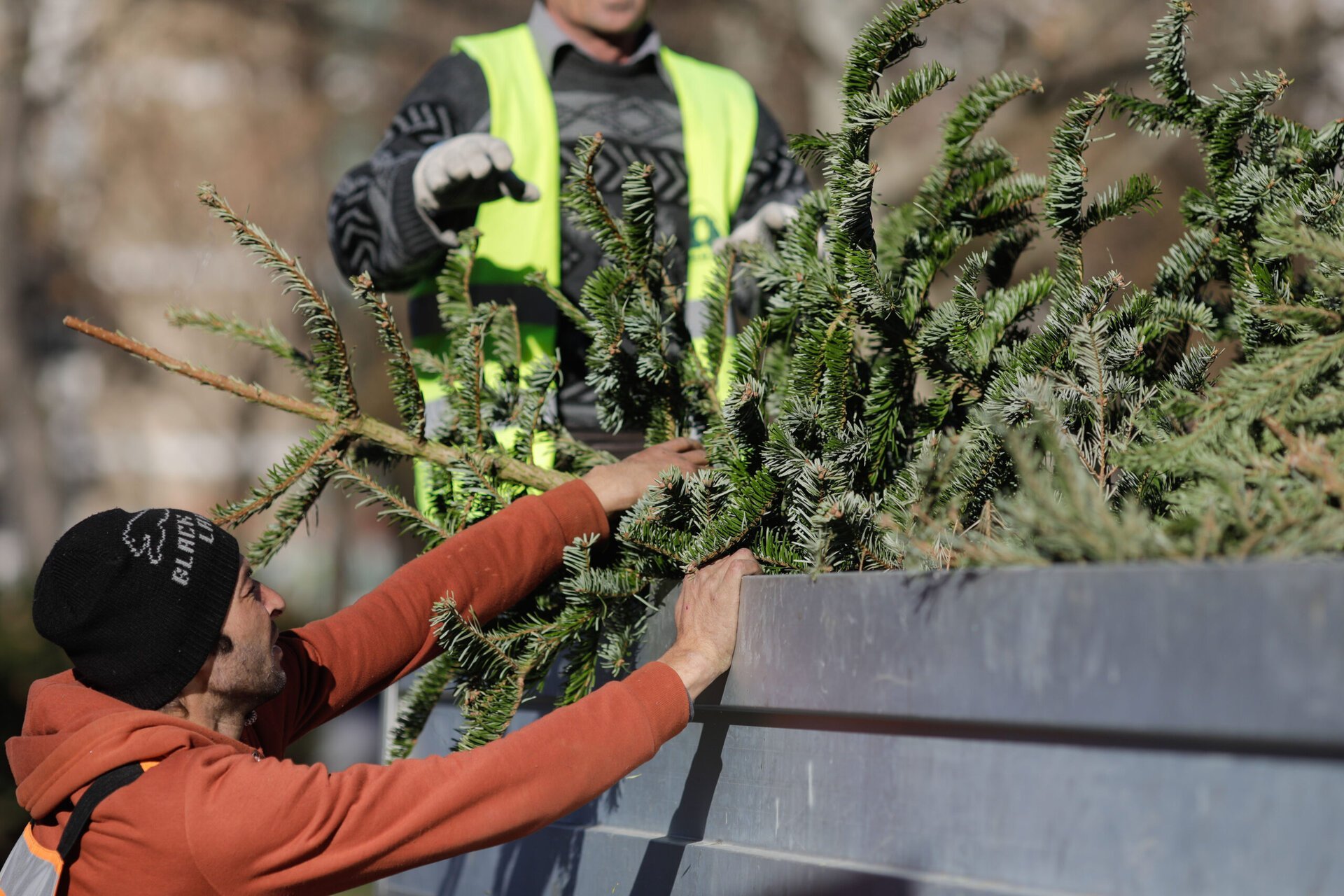 Sectorul 2 și Sectorul 6 devin exemple de responsabilitate ecologică în gestionarea brazilor de Crăciun După sărbători, bucureștenii din Sectorul 2 pot depozita brazii de Crăciun în mod ecologic, beneficiind de mai multe puncte de colectare disponibile non-stop, și de posibilitatea de a solicita ridicarea de la domiciliu doar cu programare