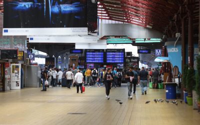 ID264270_INQUAM_Photos_George_Calin-1000x667.jpg - Presa360