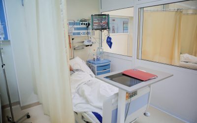 ID30977_INQUAM_Photos_George_Calin-scaled.jpg - Presa360