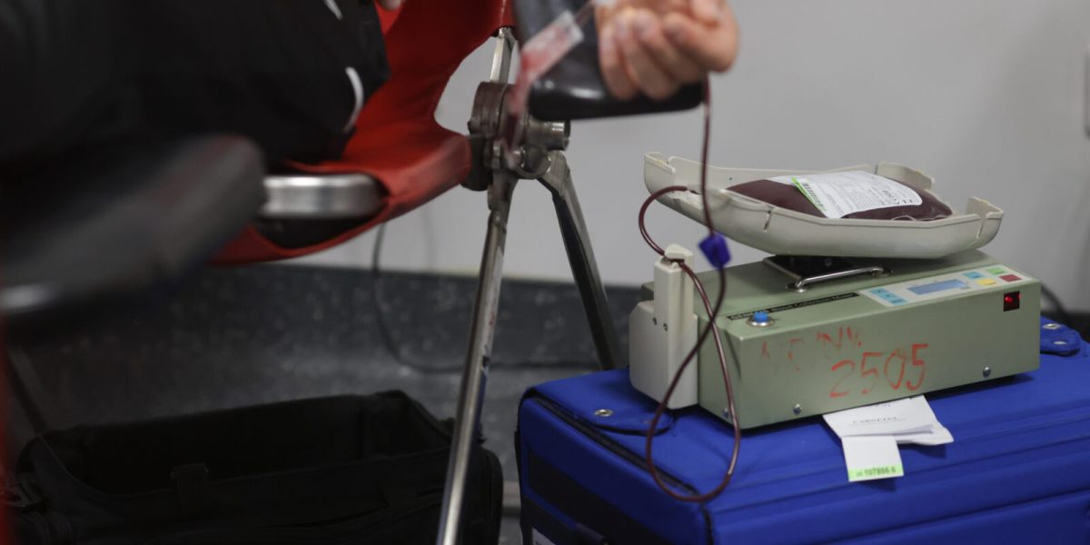 ID318910_INQUAM_Photos_George_Calin-1600x1067-1.jpg - Presa360