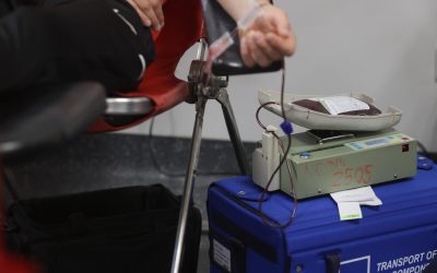 ID318910_INQUAM_Photos_George_Calin-1600x1067-1.jpg - Presa360