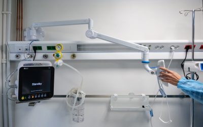 ID324935_INQUAM_Photos_Alexandru_Nechez-scaled.jpg - Presa360