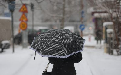 ID330607_INQUAM_Photos_George_Calin-1.jpg - Presa360