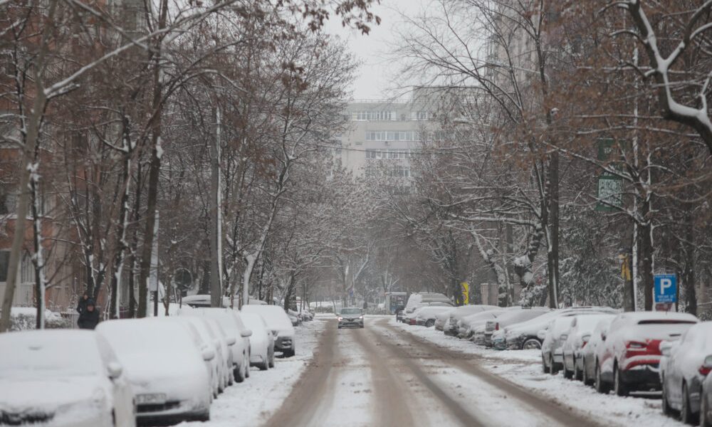 ID330609_INQUAM_Photos_George_Calin-1000x667.jpg - Presa360