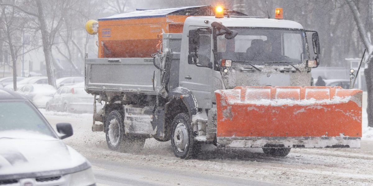 ID86171_INQUAM_Photos_George_Calin-scaled-e1610309816190.jpg - Presa360